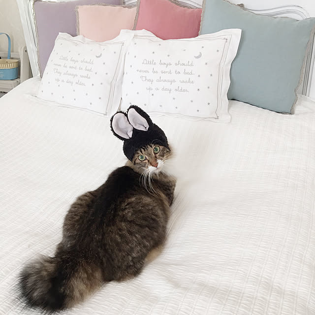 yuchiさんの実例写真