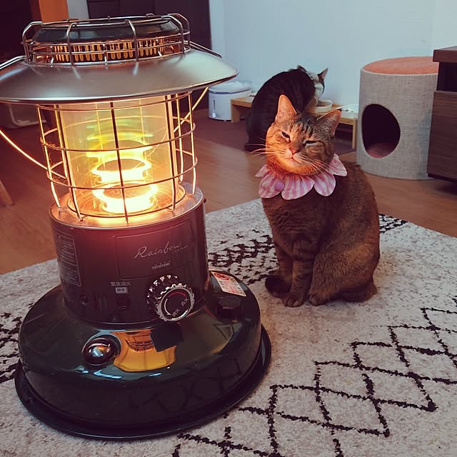 mochicoさんの実例写真