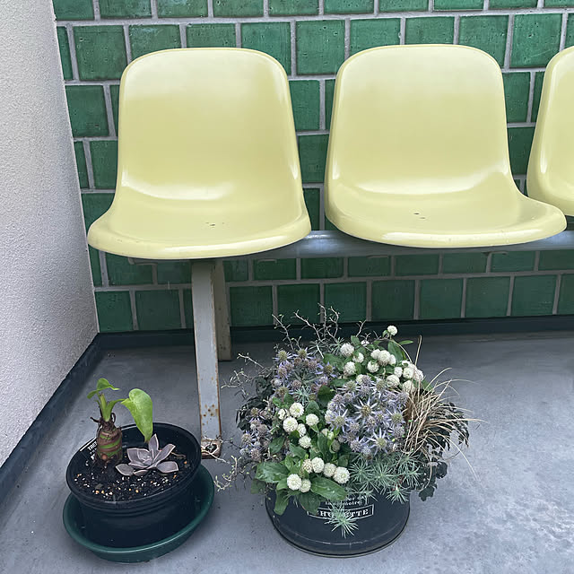 H.Izawaさんの実例写真