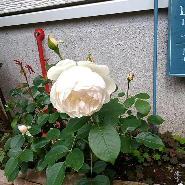 atelier_emaさんの実例写真