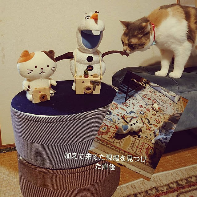 fukuさんの実例写真