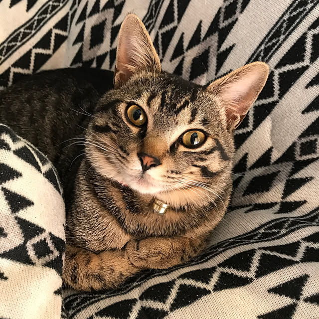 mmeeronさんの実例写真