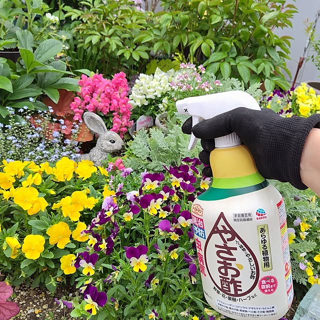 mutsuさんの部屋