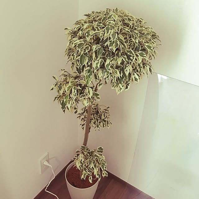 erin.さんの実例写真