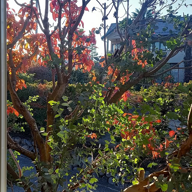 civicglさんの部屋