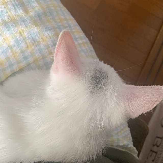 keiさんの実例写真