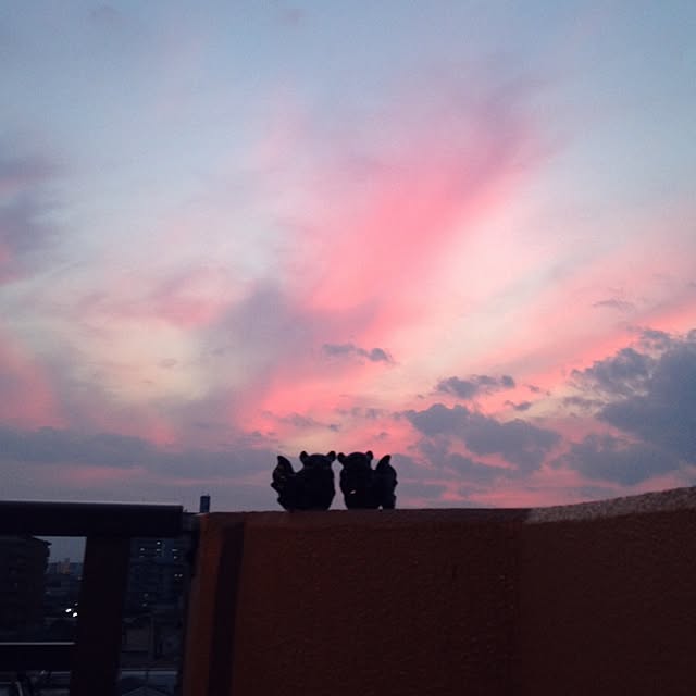 simple_blowbackさんの実例写真
