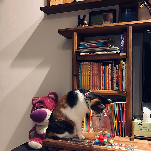 Maruさんの実例写真
