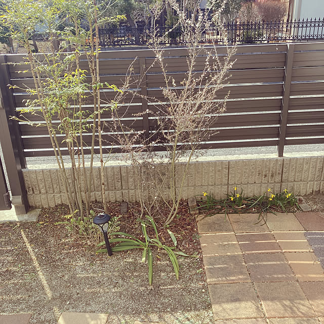 goro_wanさんの実例写真