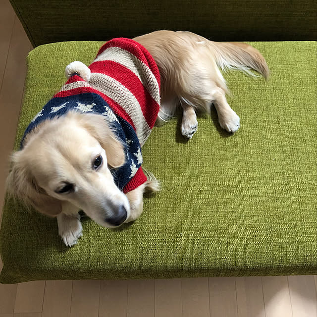 uninekoさんの実例写真