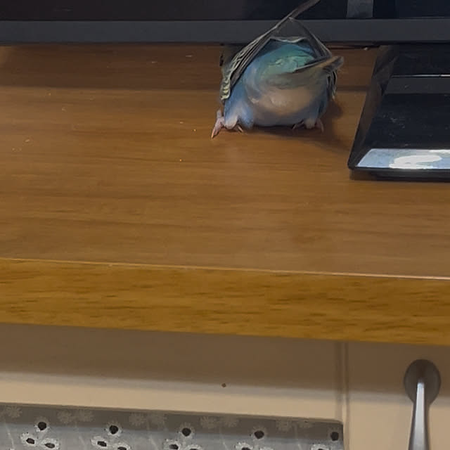Atsukoさんの部屋