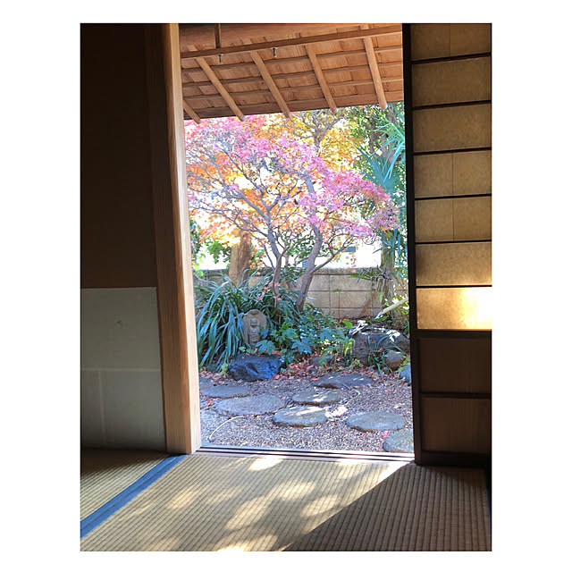 riettaさんの部屋