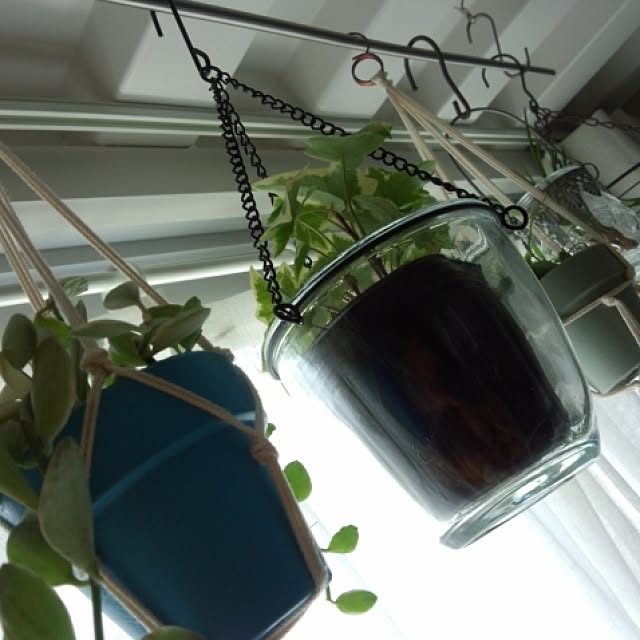 I_naomiさんの実例写真