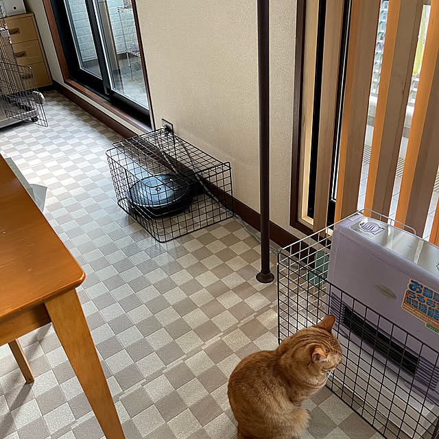 kikiさんの実例写真