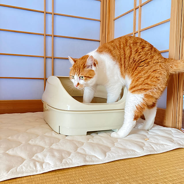 uni48さんの実例写真