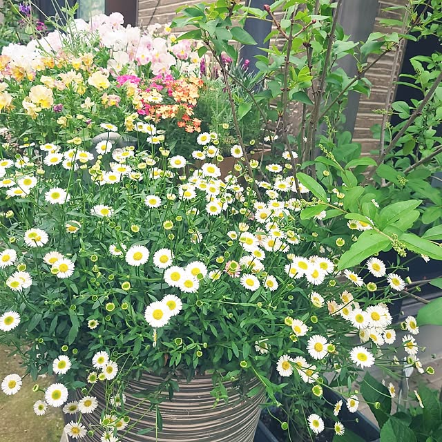 mimi828さんの部屋