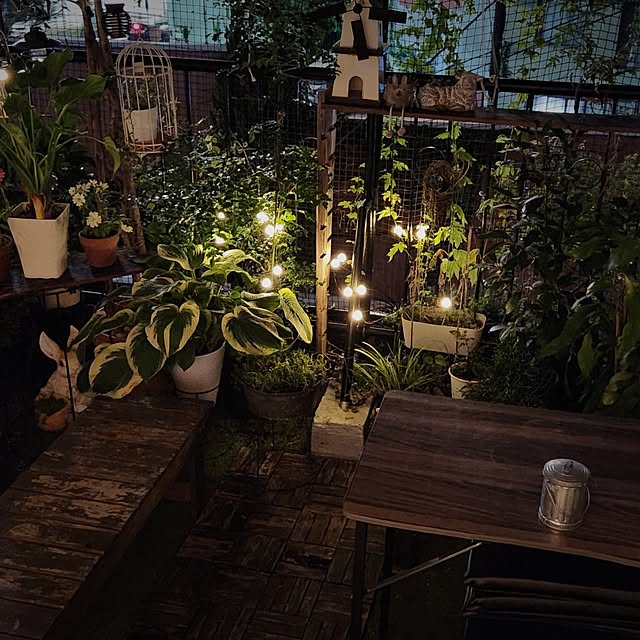 mikamaiさんの部屋