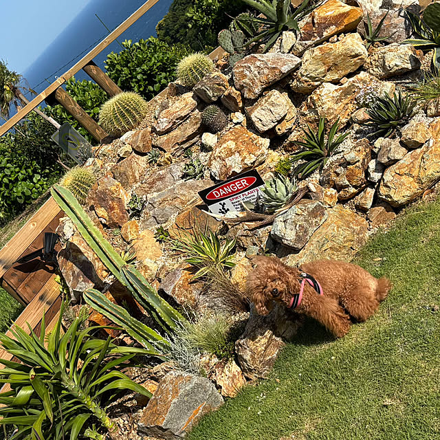 bonber0212さんの実例写真