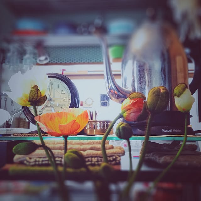 molmiyaさんの実例写真