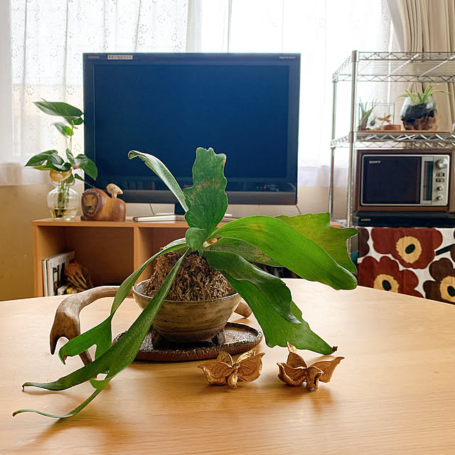 nao.roomさんの実例写真