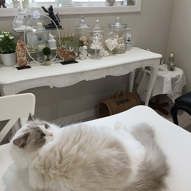 yuchiさんの実例写真