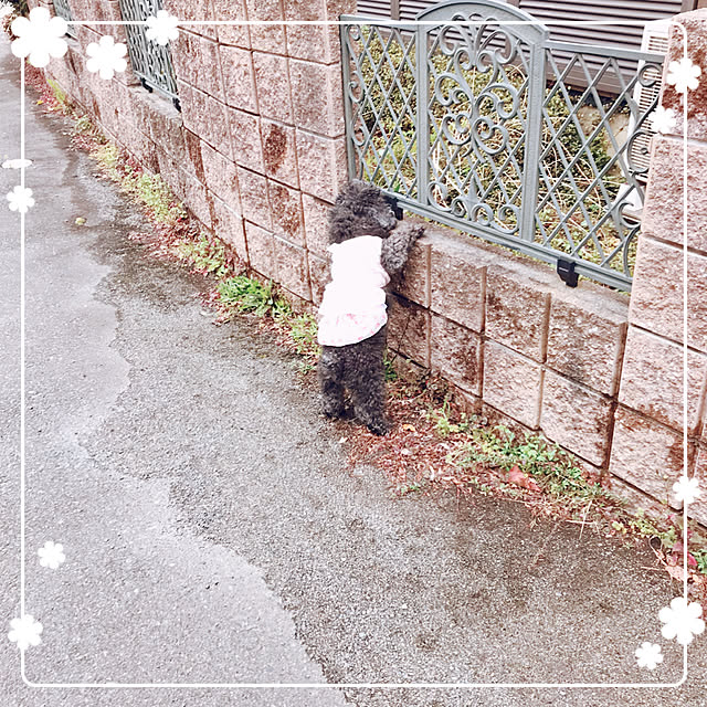 makkoさんの実例写真
