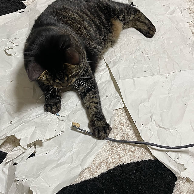 momocchiさんの部屋