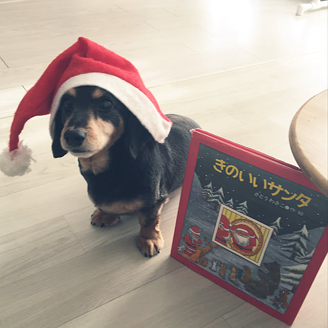 ohanaさんの実例写真