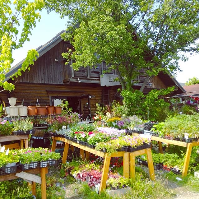 kaoさんの実例写真