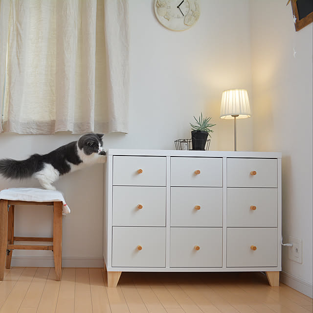 honoさんの実例写真