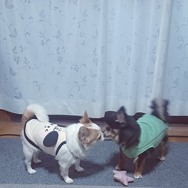 hiro-yさんの部屋