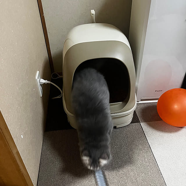 nasuさんの実例写真