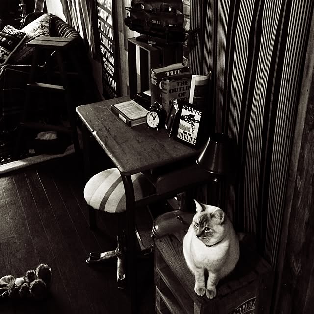 Naoki.さんの実例写真