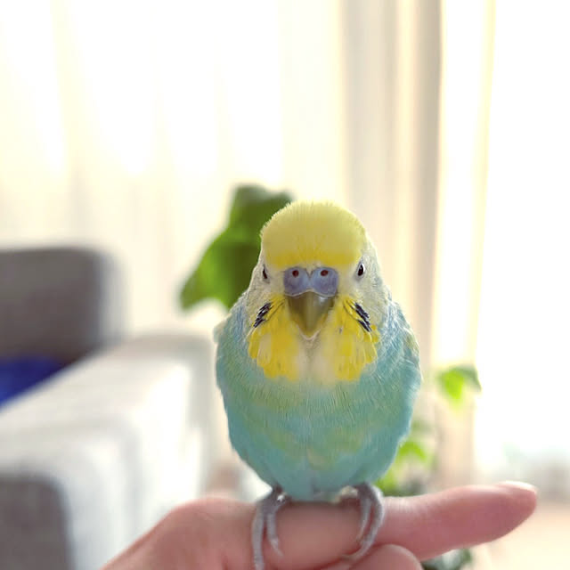 hanaさんの実例写真