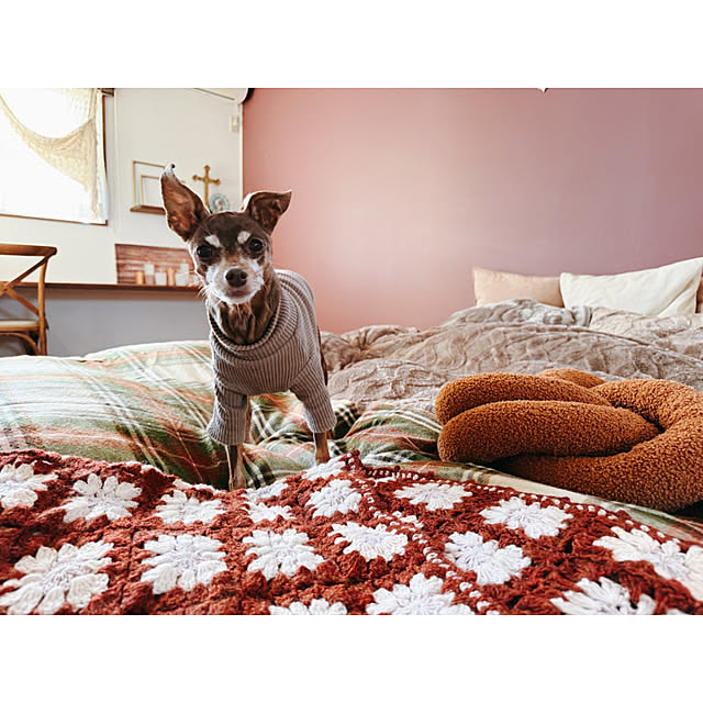 Reiyaさんの実例写真