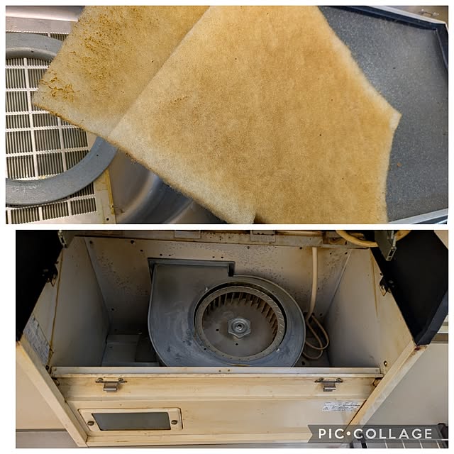 asaさんの実例写真