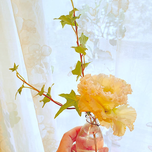 moolさんの実例写真