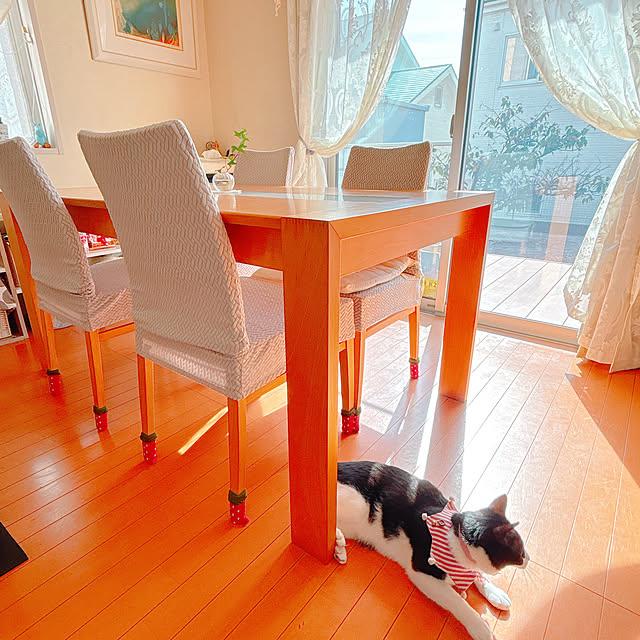 moolさんの実例写真