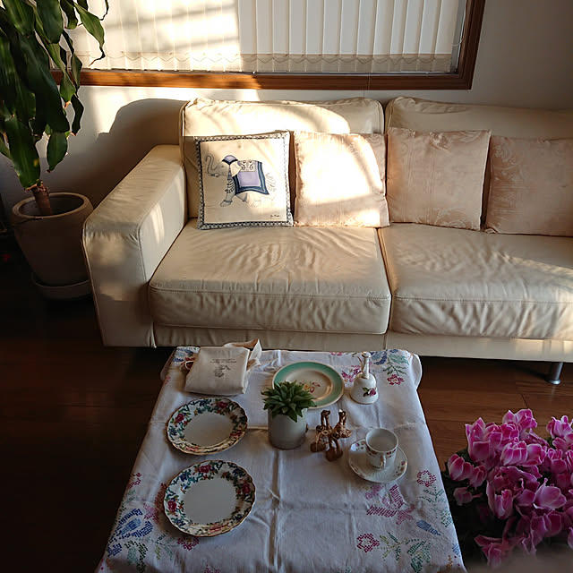部屋全体/観葉植物/IKEA/アンティーク/多肉植物...などのインテリア実例 - 2019-01-04 16:03:36
