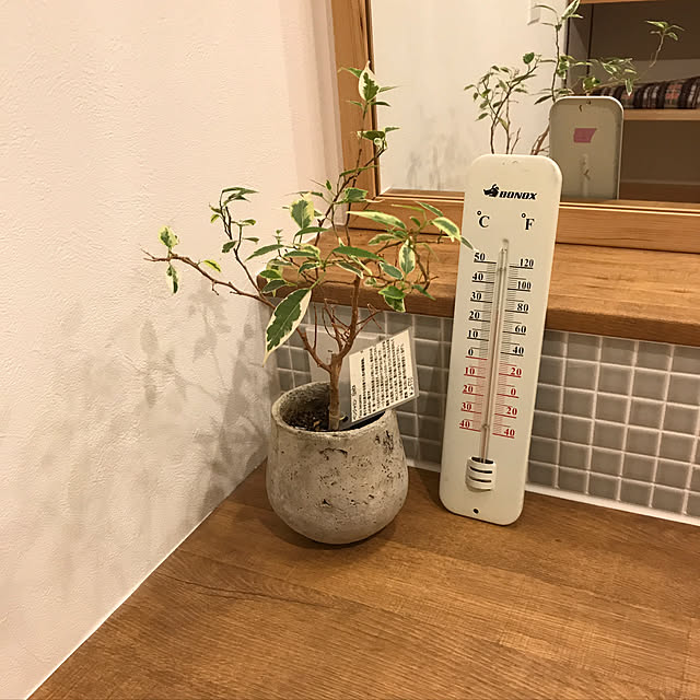 m.shimaumaさんの実例写真