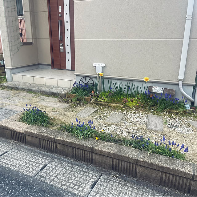 pekoさんの実例写真