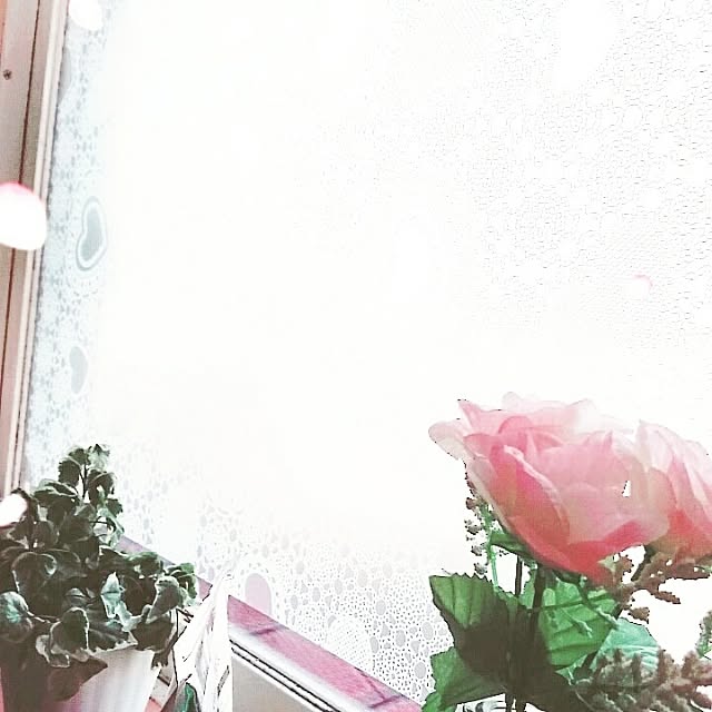 MISTさんの実例写真