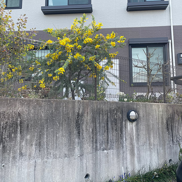 kikiさんの部屋