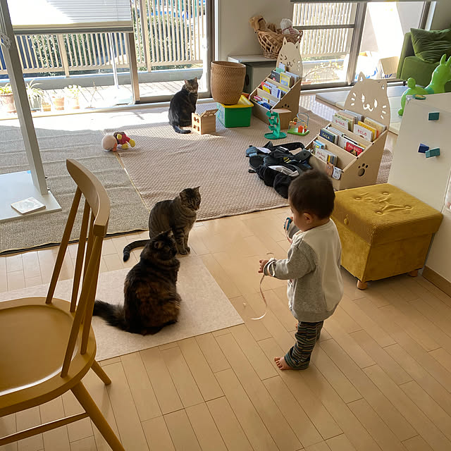 mikomaruさんの実例写真