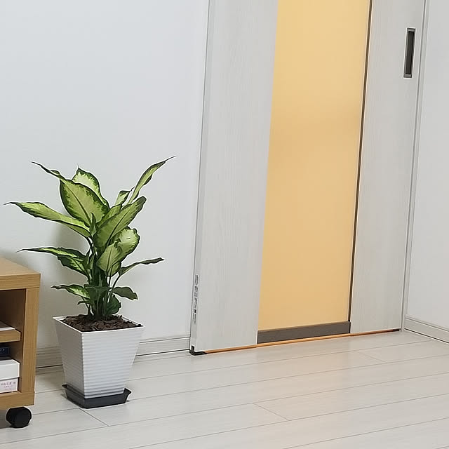 rielさんの実例写真