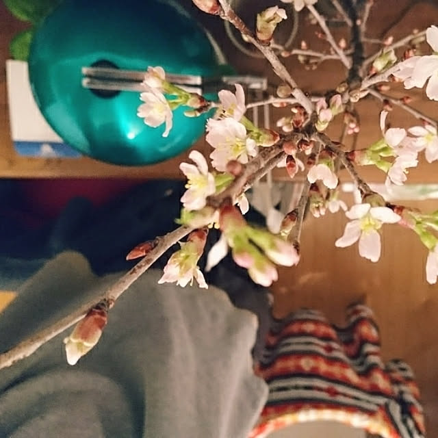 masamasaさんの実例写真