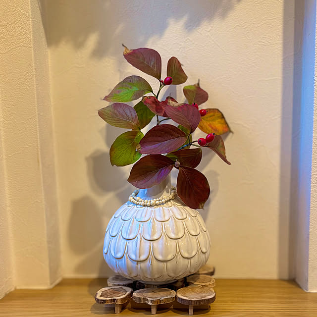 Lucyさんの実例写真