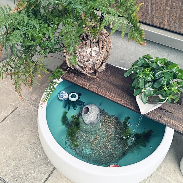 macyuさんの実例写真