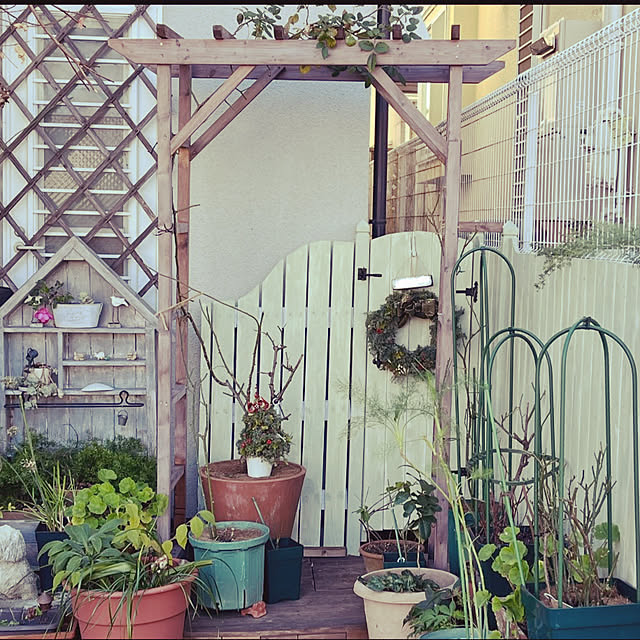 seiseiさんの部屋