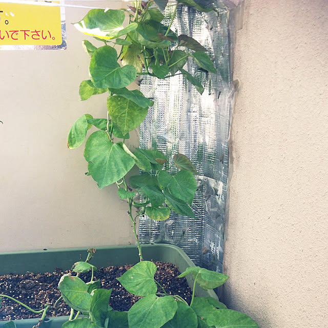 hanachanさんの実例写真